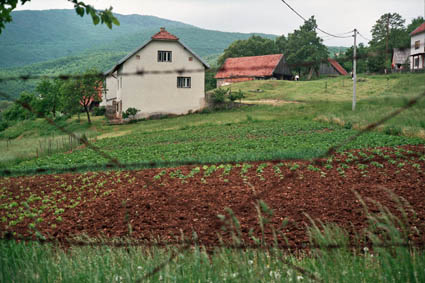 eika image
